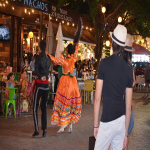 Playa del carmen 5th avenida