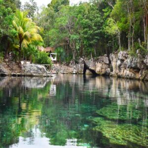 beutiful cenote