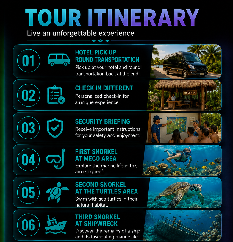 itinerary-turtles
